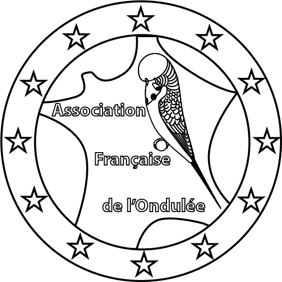 Logo AFO NB 2018