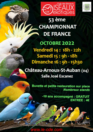 Affiche CDE 2022
