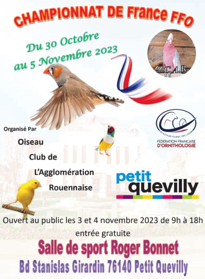 CHAMPIONNAT FFO 2023