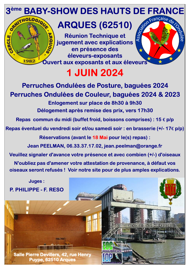 BBS Arques 2024