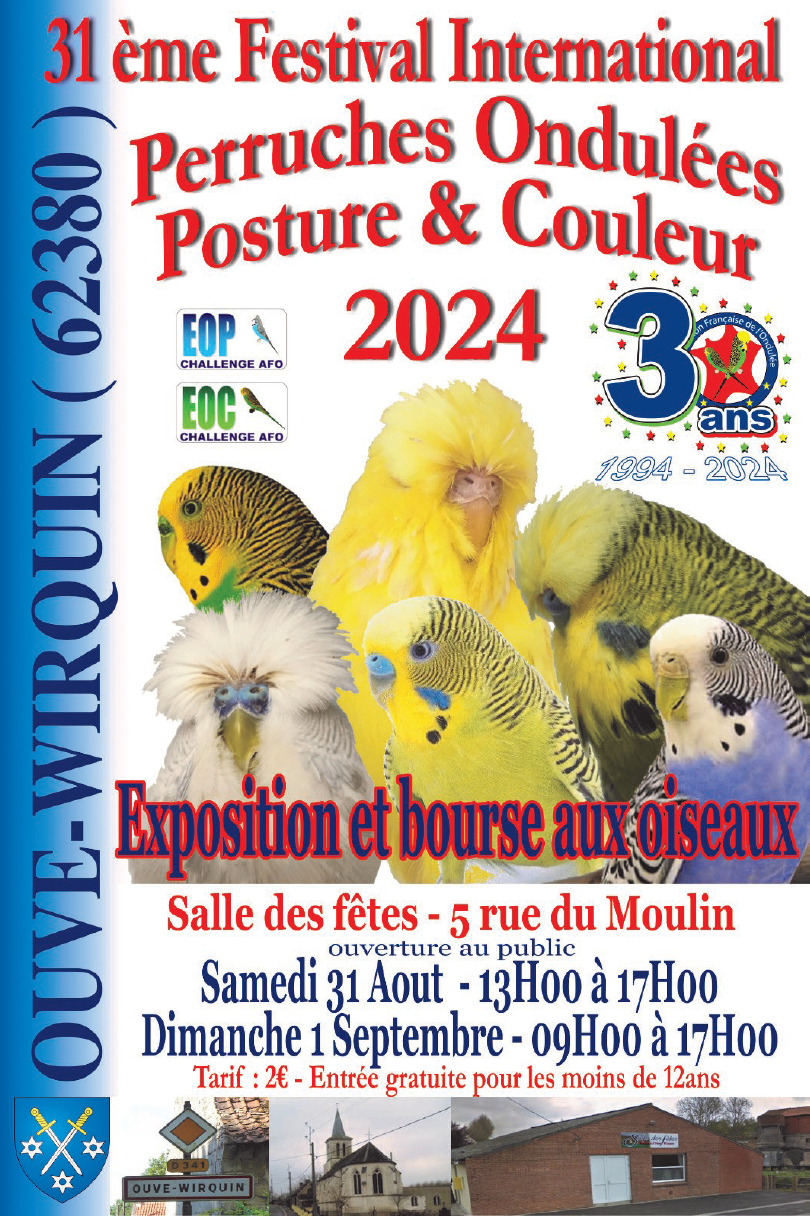 Festival International A.F.O. 2024