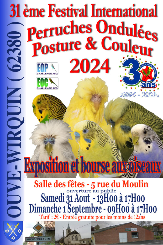 Festival A.F.O. 2024