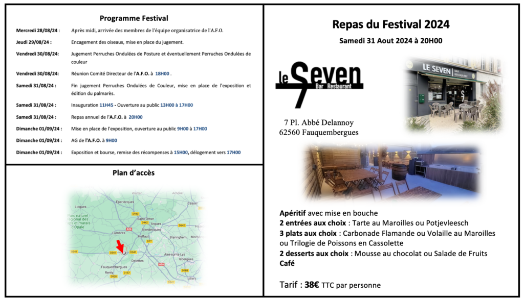 Récapitulatif Festival AFO 2024