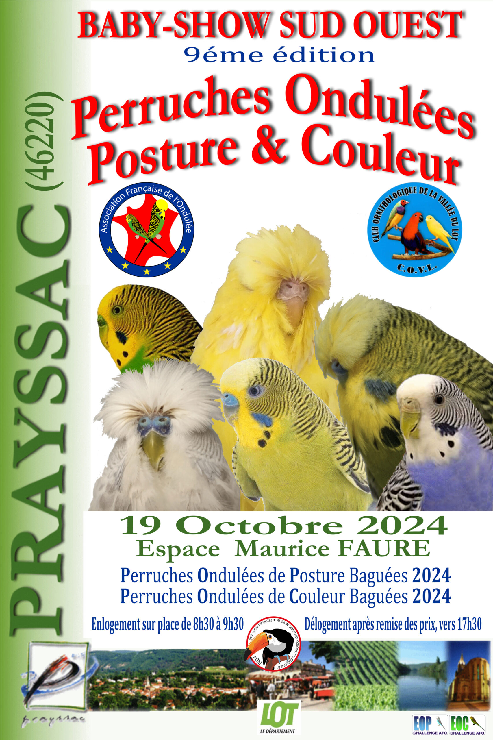babyshow sud ouest 2024