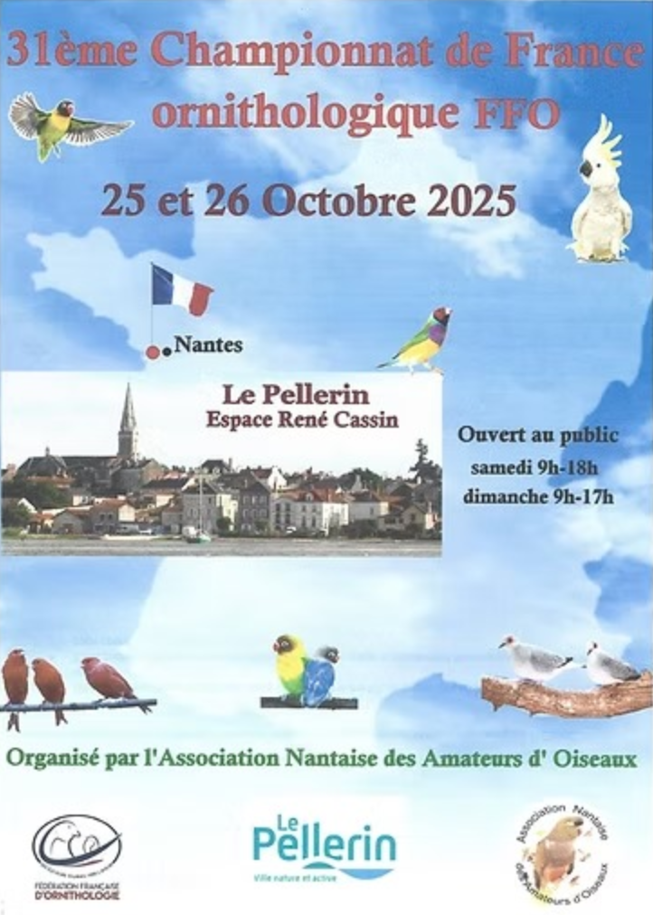 CdF FFO 2025
