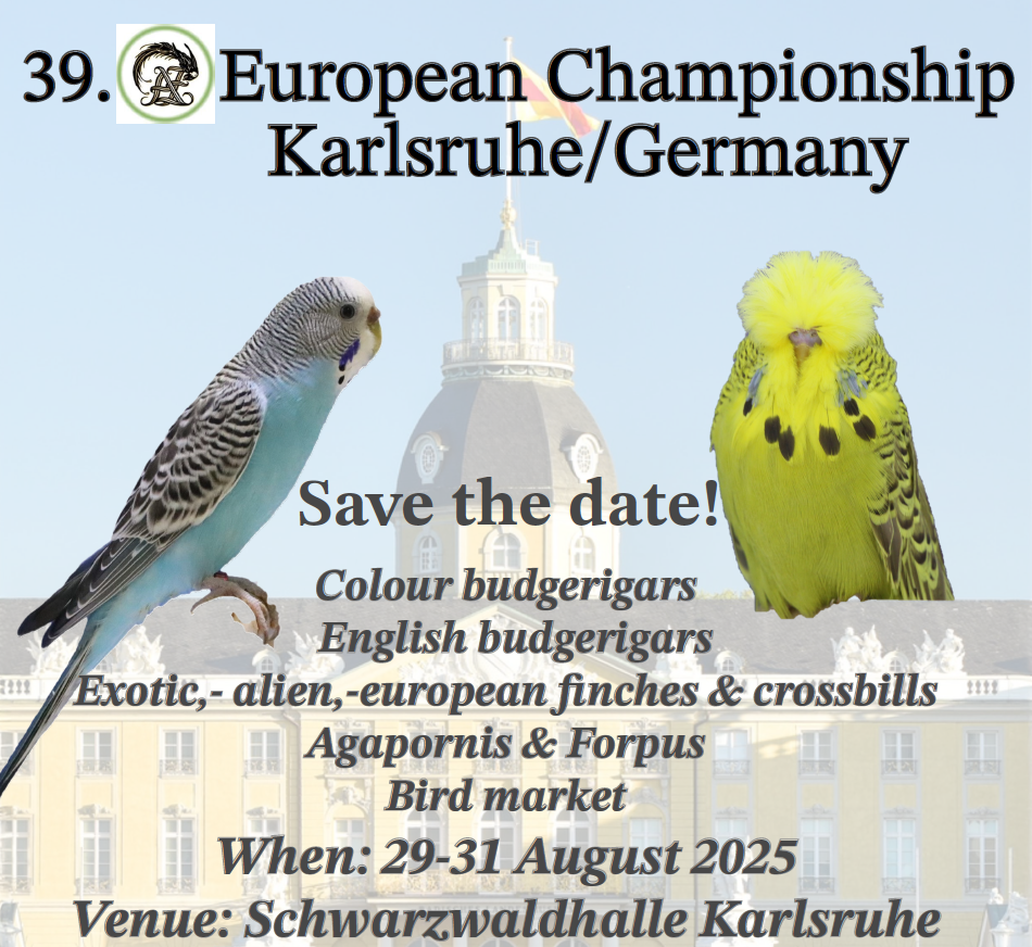 AZ Karlsruhe 2025