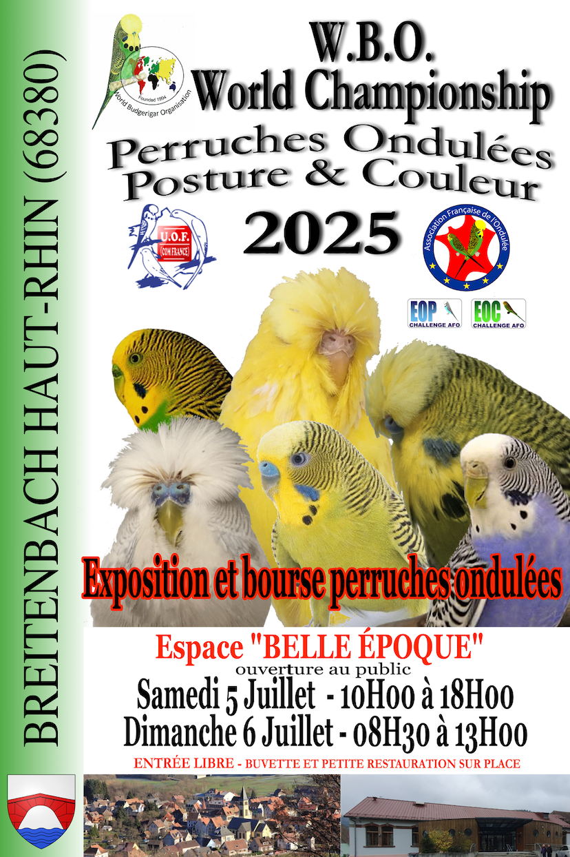 Mondial WBO UOF AFO 2025