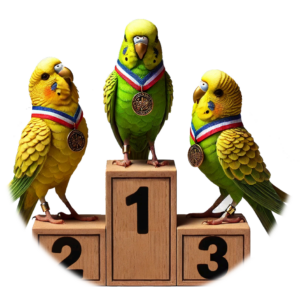 Podium Perruches Ondulées