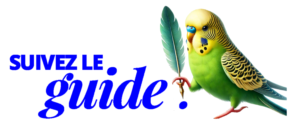 Suivez le guide A.F.O.