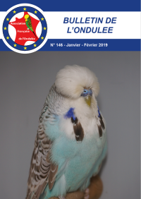 Bulletin Janvier 2019
