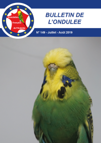 Bulletin Juillet 2019