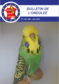 Bulletin Mai 2018