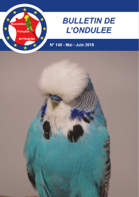 Bulletin Mai 2019