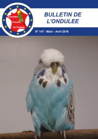 Bulletin Mars 2019
