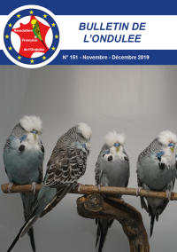Bulletin Novembre 2019