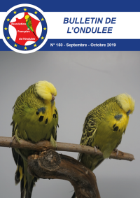 Bulletin Septembe 2019