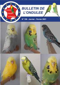 Janvier - Février 2021