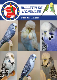 Revue A.F.O. Mai Juin 2021
