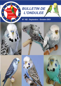 Revue A.F.O. Septembre Octobre 2021